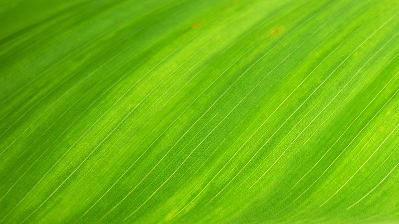 EcoRoute Solutions